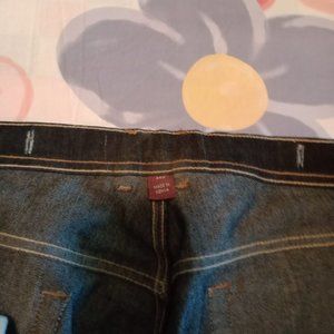 Gloria Vanderbilt Plus Size Stretch Jeans 24W